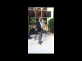il Sassofonista