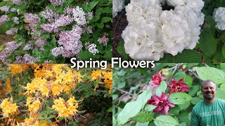 What's Your Favorite Spring Flowering Shrub? - Viburnum, Azalea, Lilac, Calycanthus, Weigela