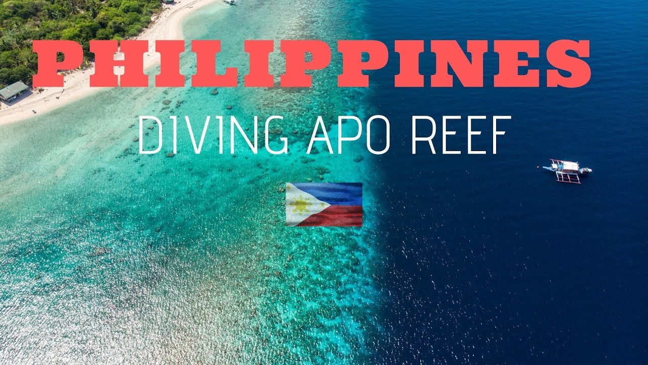 Apo Reef - Diving Underwater Paradise In The Philippines
