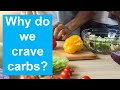 Stop Craving Carbs | Day 7 Weight Loss Journey