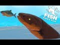 ЭЛЕКТРИЧЕСКИЙ УГОРЬ СЪЕЛ МЕГАЛОДОНА  | Feed and Grow Fish