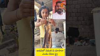dry fish fry #enjoying #foodclips #fish #tasty #viralvideo