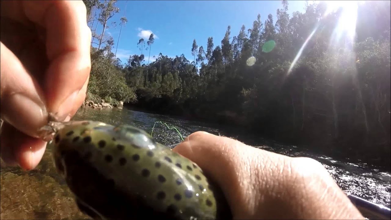 fly fishing ecuador rio santa barbara YouTube