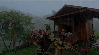 Heavy Rain with Thunder ASMR: Ultimate Sleep and Stress Relief | Rain Carnation