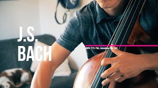 J.S. Bach, BWV 784, Invention No. XIII in A minor // Mandolin &amp; Bass