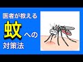 蚊に刺されない正しい予防法、刺された時の治療法【小児科医解説】