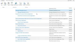 Managed MetaData Application in SharePoint 2013