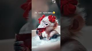 За нас красавицы ☺️