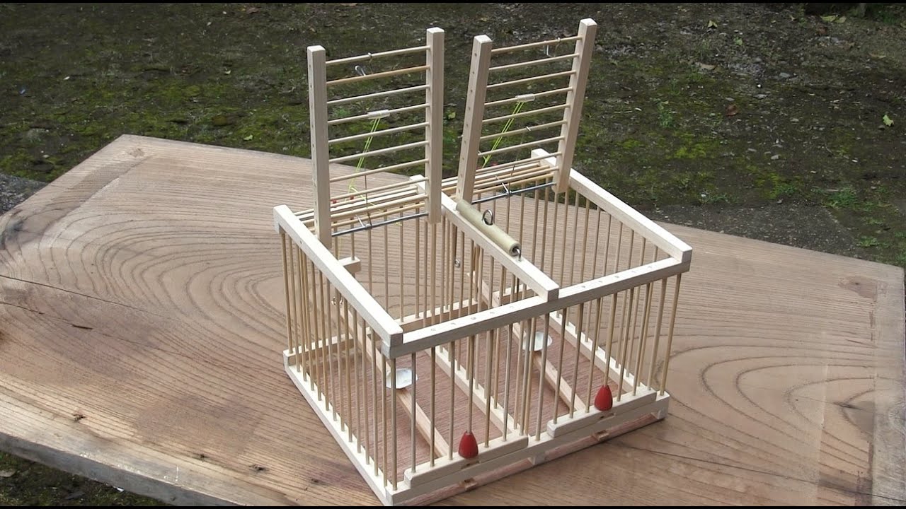 2羽用並列2室仕様16型機能鳥籠・Stretch a string two rooms trap