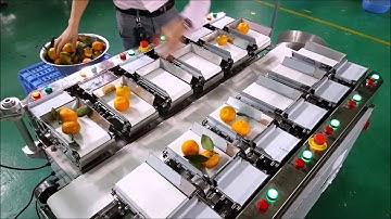 VegSort Linear Combination Weigher