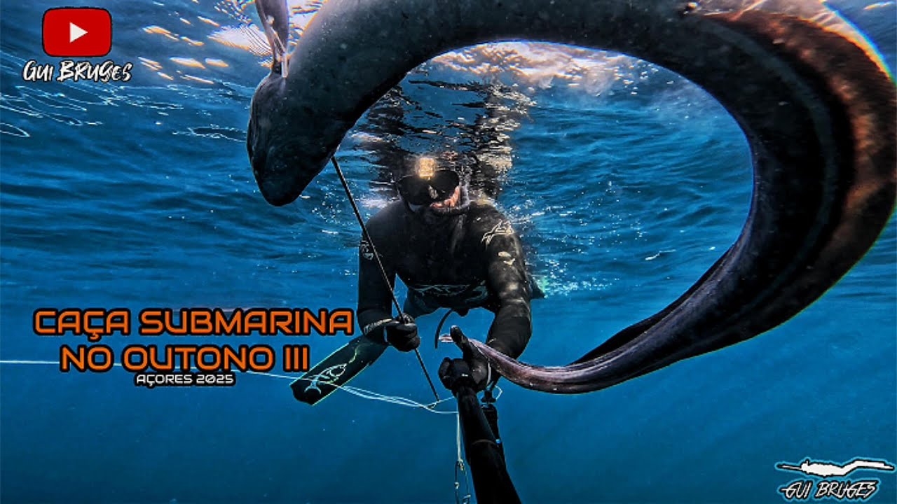 Caça Submarina no Outono III - Açores 2025
