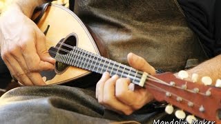 Mandolin Maker by Wood Culture Tour 30,466 views 8 years ago 4 minutes, 32 seconds