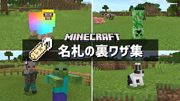 تحميل マイクラ 名札 逆さ