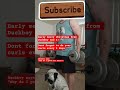 Duckboy is confused #subscribe
