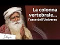La colonna vertebrale: l'asse dell'Universo | Sadhguru Italiano