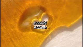 La Cebolla- Habibi (Eng Lyrics)