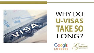 Why do U visas take so long