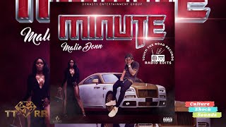 Malie Donn - Minute (TTRR Clean Version) PROMO