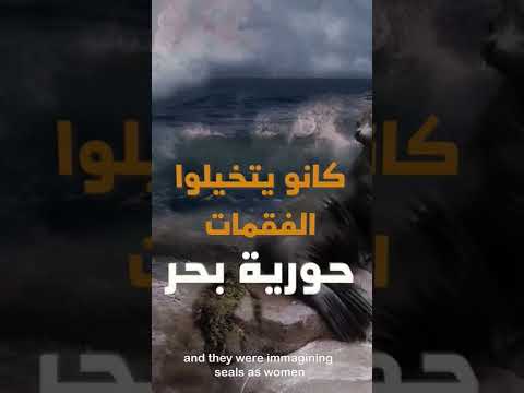 حورية بحر ديزني العراق سورية اريل دبي