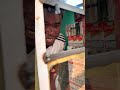#funnyvideo @fallyipupa