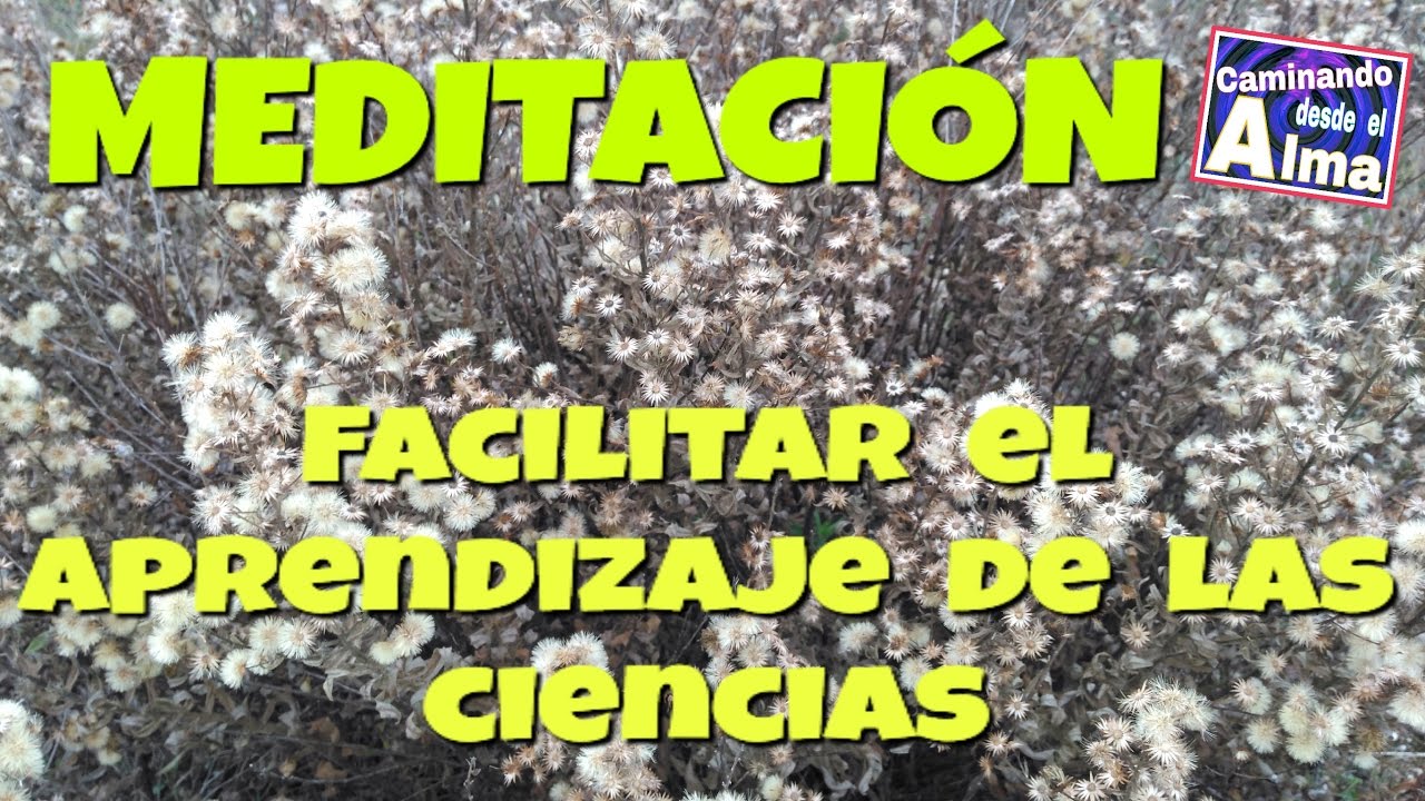 MEDITACIÓN. Facilitar el aprendizaje de las ciencias. concentrarse significado