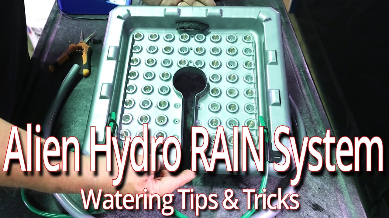 Alien Hydro RAIN System Watering Tips & Tricks