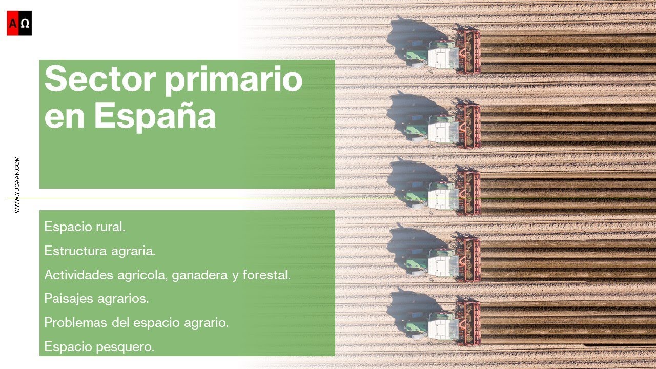 Sector primario en España: Espacio rural. Agricultura, ganadería, silvicultura y pesca