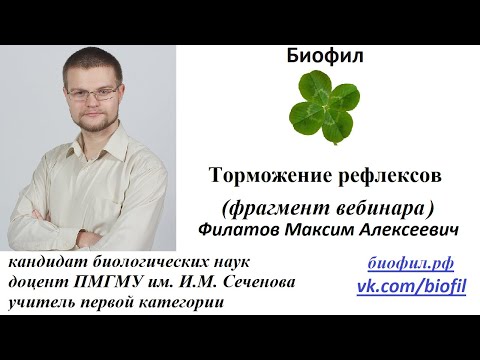 Торможение рефлексов: условное и безусловное || Биофил. Подготовка к ЕГЭ, ОГЭ, ЦТ и ЕНТ по биологии.