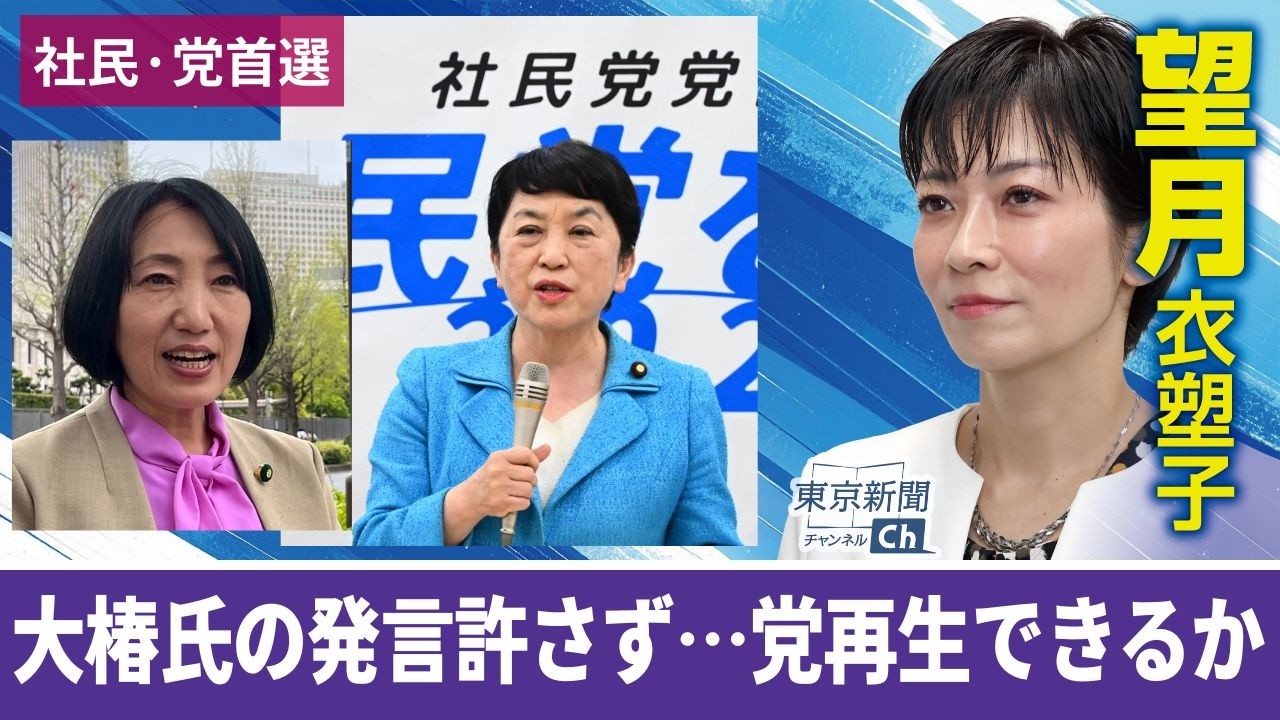 椿 発言