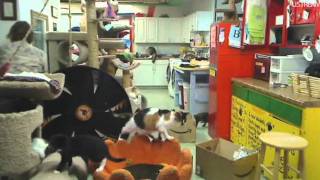FFRC Boxes & Updates 10-27-2011