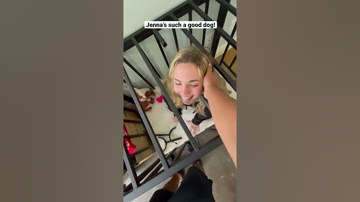 1 like = 1 pet for Jenna 🐶 #shorts