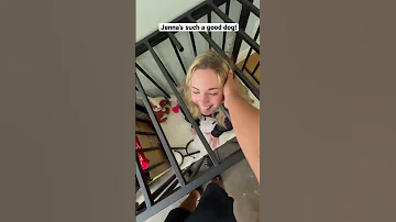 1 Like 1 Pet For Jenna Shorts 