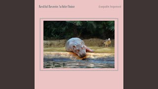 Nightfall Harmony: White Noise (Loopable Sequence)