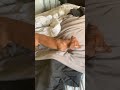 Oscar waking up to first snow