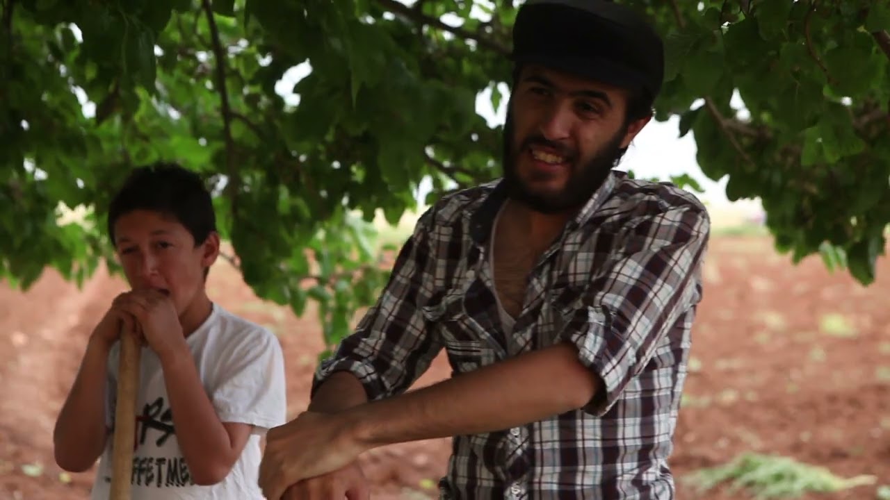 Gaziantep Araban Yolveren (Azezi)  Mahallesi Ağaç Filmi