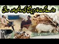 Today farm routine | Daily Village Vlogs
