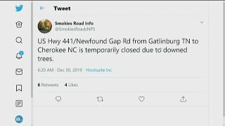 Newfound Gap Road closed due to downed trees