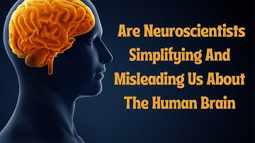 Are Neuroscientists Simplifying And Misleading Us About The Human Brain | M. Chirimuuta
