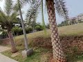 DJI Neo training 6 October 2024