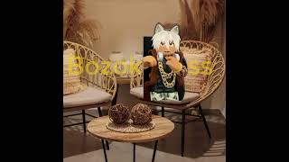 ÖZÜR DİLERİM B-BOZOK ABİ #bozok #bozok31 @Bozok3131 @bibiskoo