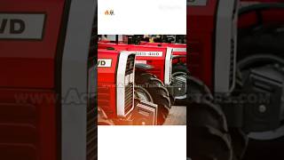 MF 385 4WD Ka Asli Tashan! 🚜🔥#shorts #tgt #masseyferguson massey