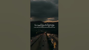 ووصينا الإنسان بوالديه إحسانا // سورة الأحقاف للشيخ ياسر الدوسري