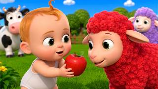 Baa Baa Black Sheep Song |+Compilation | Lala Loops Kids Songs &amp; Nursery Rhymes