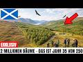 Schottland Pflanzte 2 Millionen Bäume in Tote Highlands - Was 35 Jahre Später Geschah