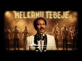 Melkamu Tebeje Aimusic Ai Aicovermusic