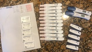 Line Progression of Miscarriage | Pregnancy Tests | IVF