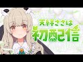 【初配信】はじめまして!盾使い守護メイド "天絆ささは"です!【#新人VTuber #天絆ささは】