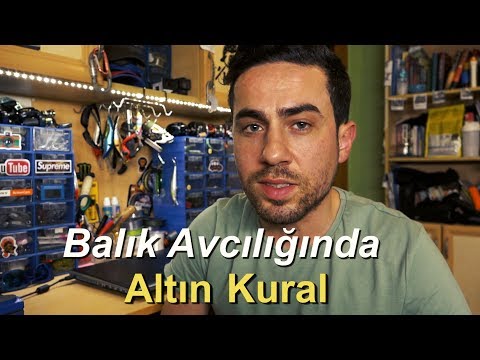 Video: Ne Tür Bir Balık, Nerede Ve Eğirme Için Daha Iyi Olan