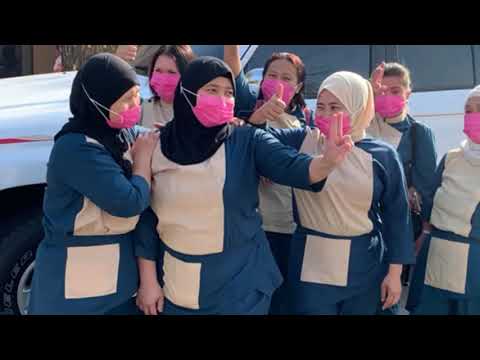 شغاله بالساعه