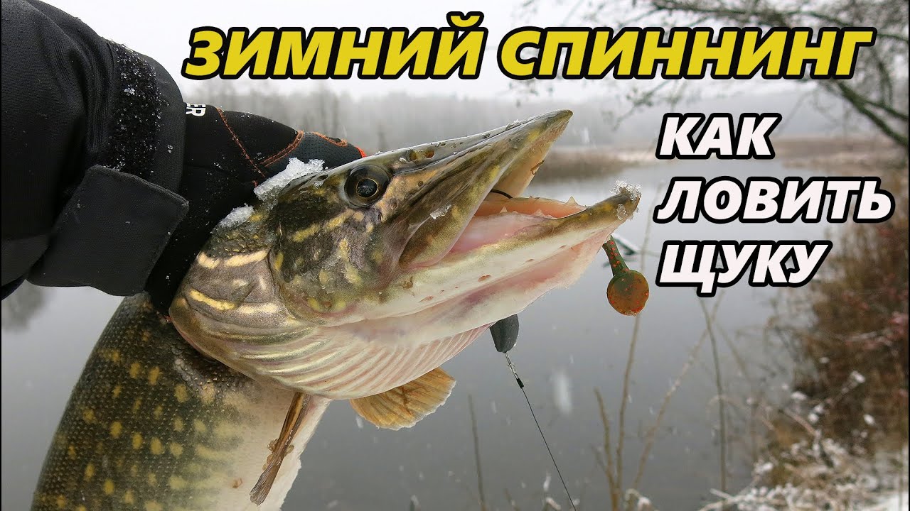 Зимний спиннинг. Как и на что ловить щуку